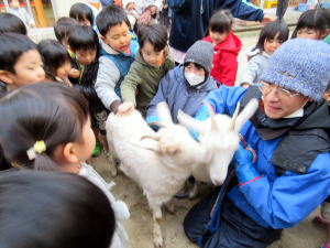 2017���M��1��12���@