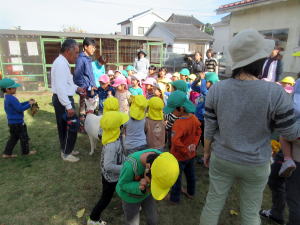 2015年11月16日ヤギ部