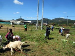 2015年10月25日ヤギ部