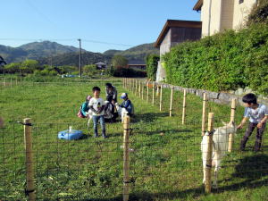 2015年4月26日ヤギ部