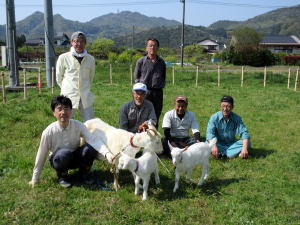 2015年4月25日ヤギ部