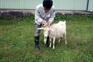 2022年7月のももこ