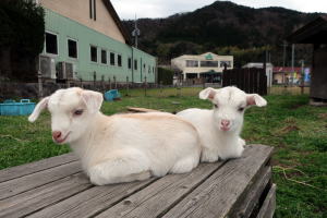 2022年3月のももこ