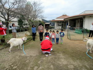 令和5年12月のももこ