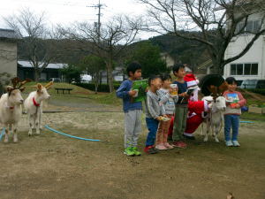 令和5年12月のももこ