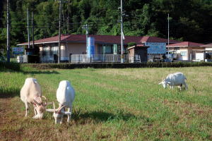 ２０２３年８月のももこ