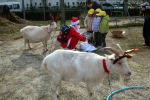 2024年12月のももこ