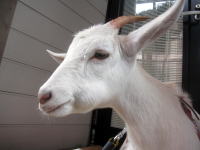 �悭�H�ׂ܂��傤