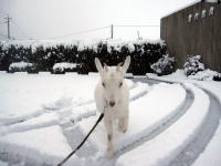 �����񂾂���