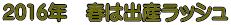 2016�N�@�t�͏o�Y���b�V��