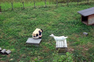 ２０２２年７月のももこ