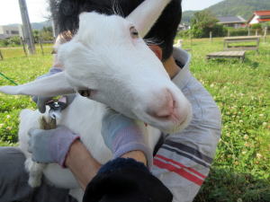 ２０２２年６月のももこ