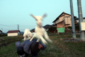 ２０２２年４月のももこ