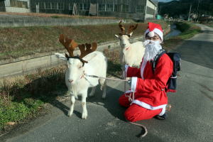 ２０２４年１２月のももこ