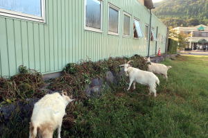 ２０２５年１０月のももこ