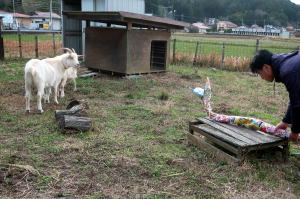 ２０２５年１月のももこ