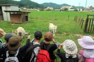 2026年6月のヤギ部