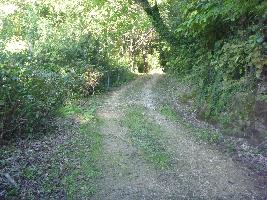 登山道