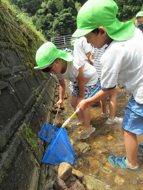 「川でさかな発見！」