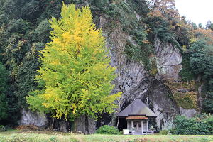 �⍪���̏H�̎ʐ^