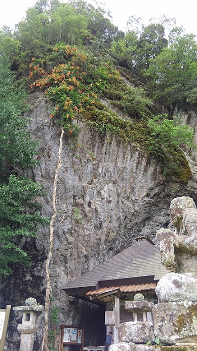 �̂����񂩂���