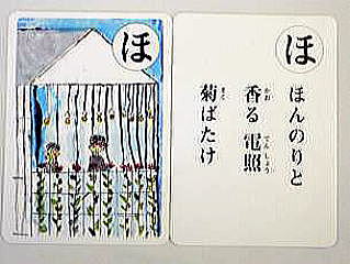 ほんのりと香る電照菊ばたけ