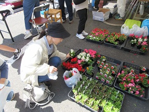 花苗抽選