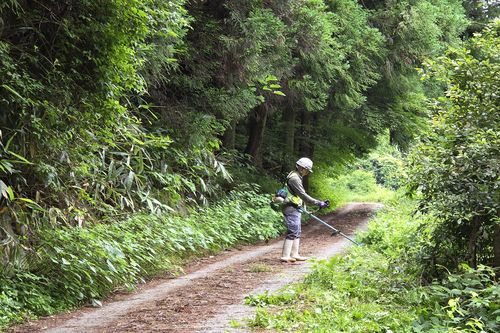 見田原草刈り1