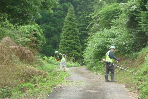 見田原草刈り2