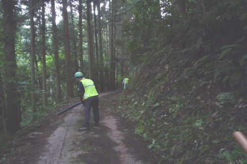 見田原草刈り3