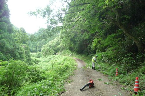 見田原草刈り4