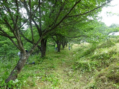 見見久2