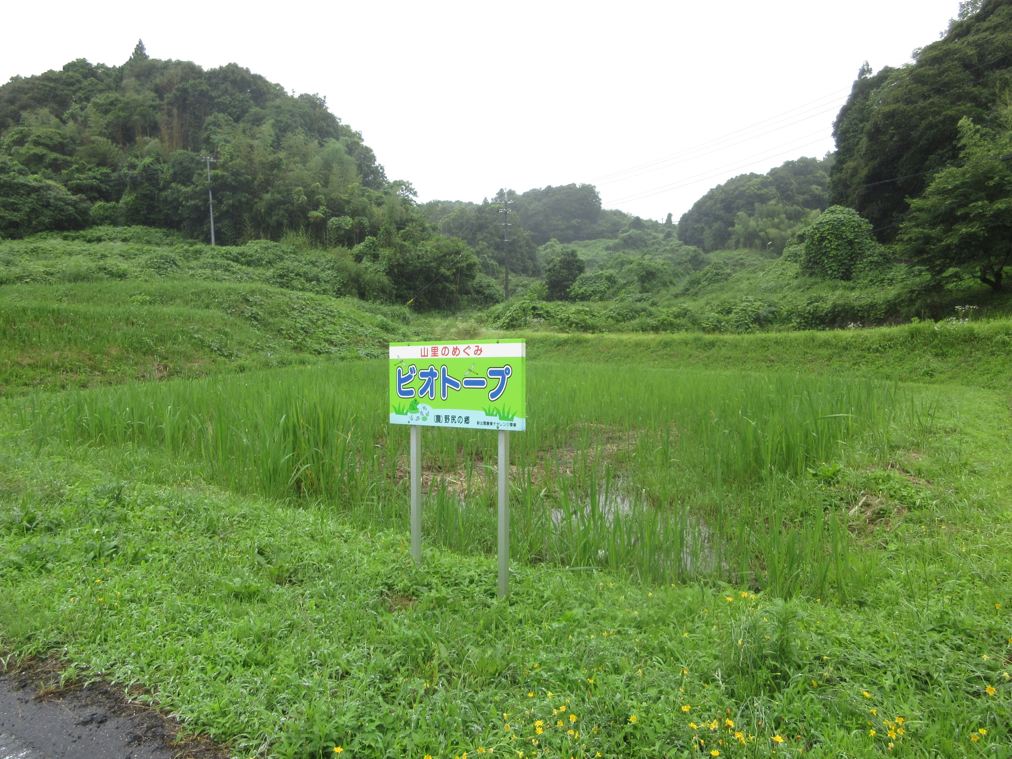 野尻町写真