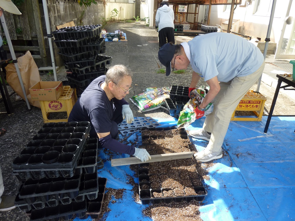 花いっぱい活動１