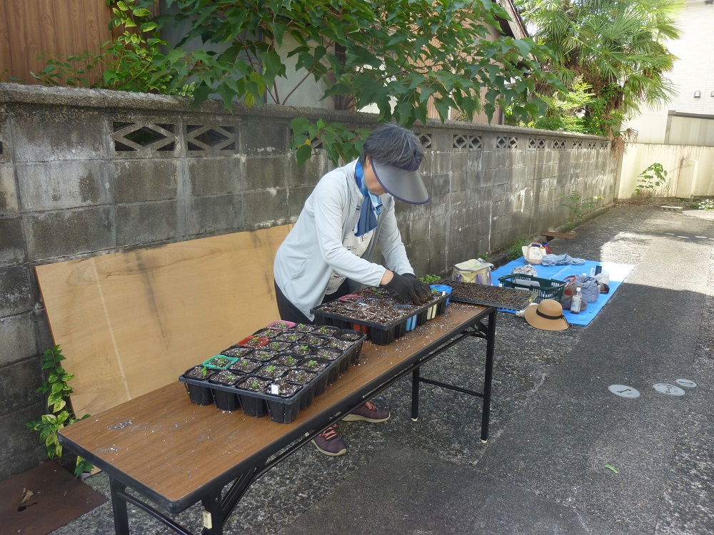 花いっぱい活動２