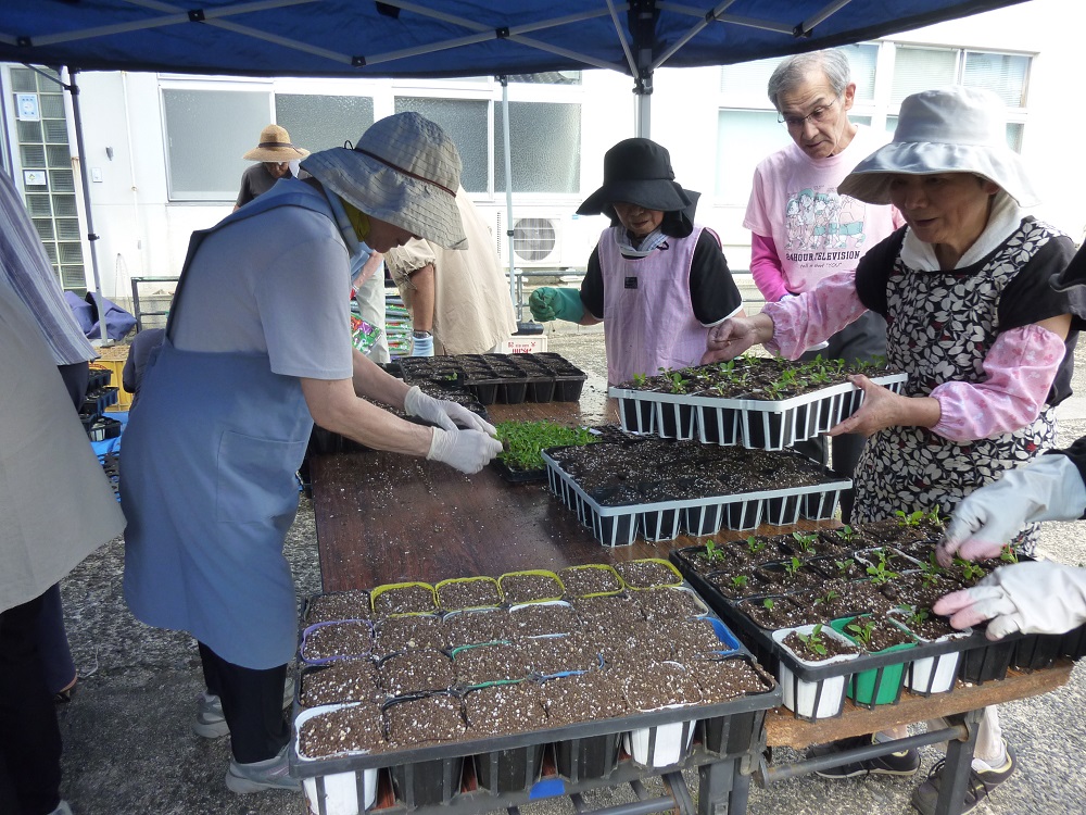 花いっぱい活動３