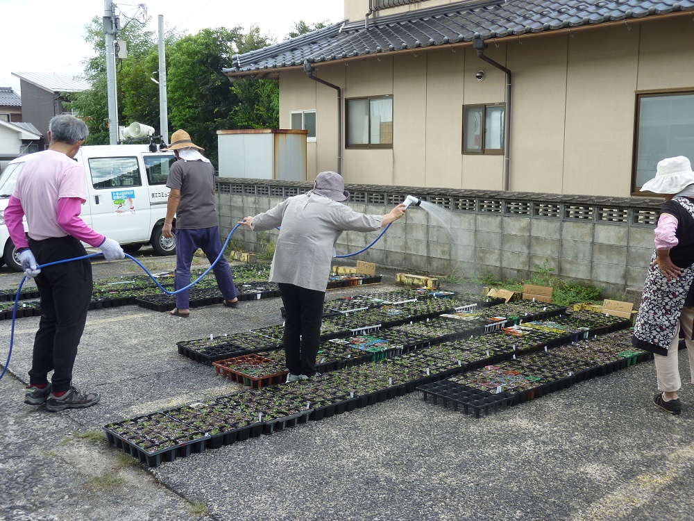花いっぱい活動４