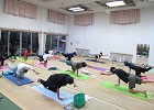 バランス